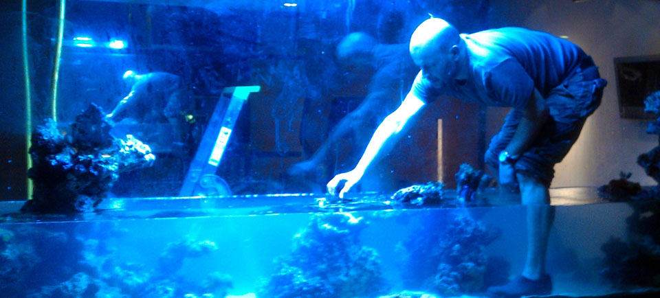 Entretien de votre aquarium à Genève